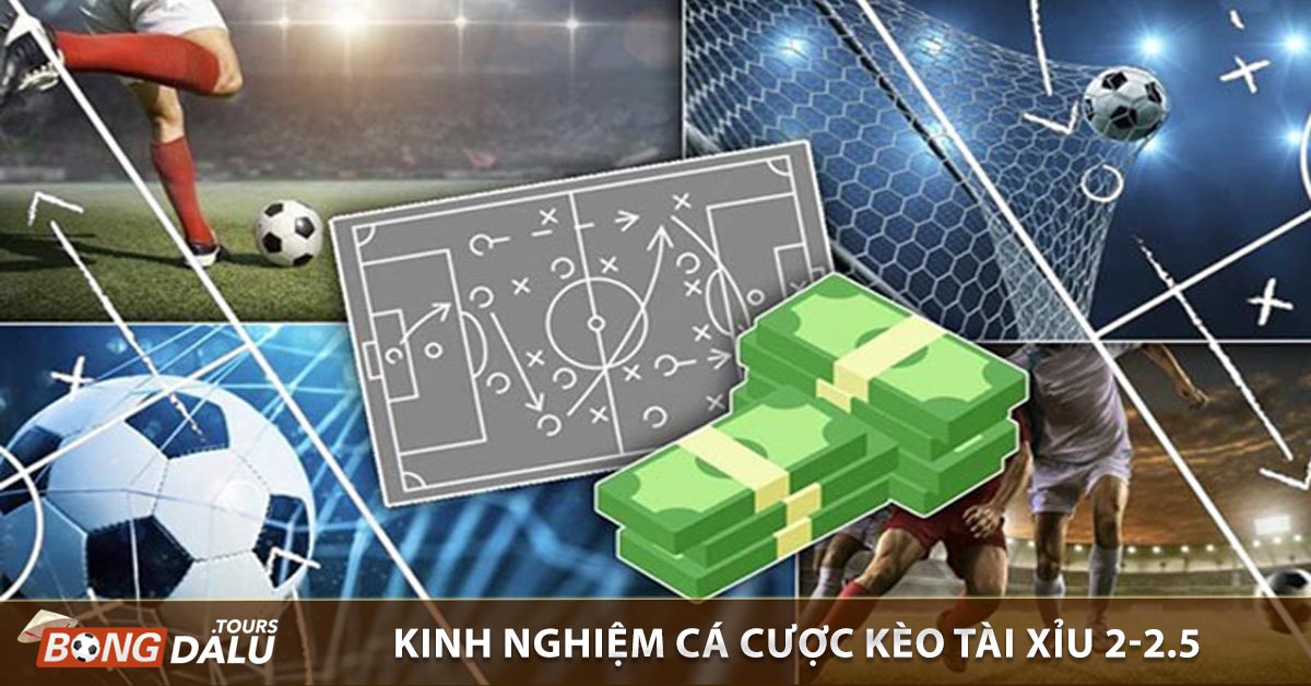 Kinh nghiệm cá cược kèo tài xỉu