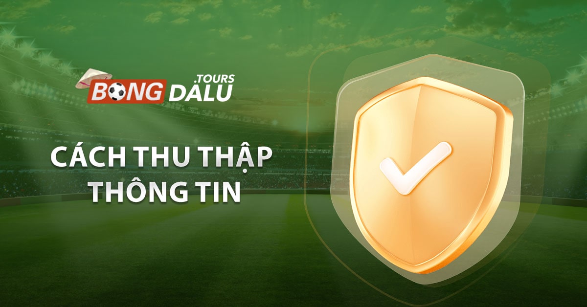 Cách thu thập thông tin 