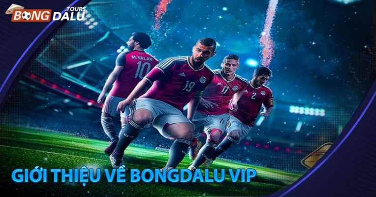 Giới Thiệu về Bongdalu vip